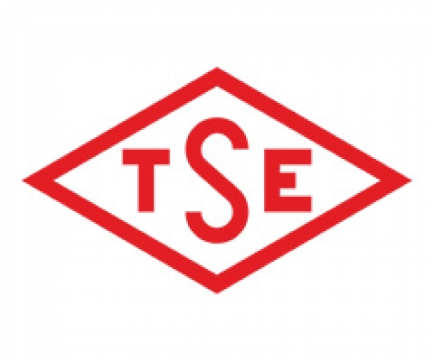 TSE